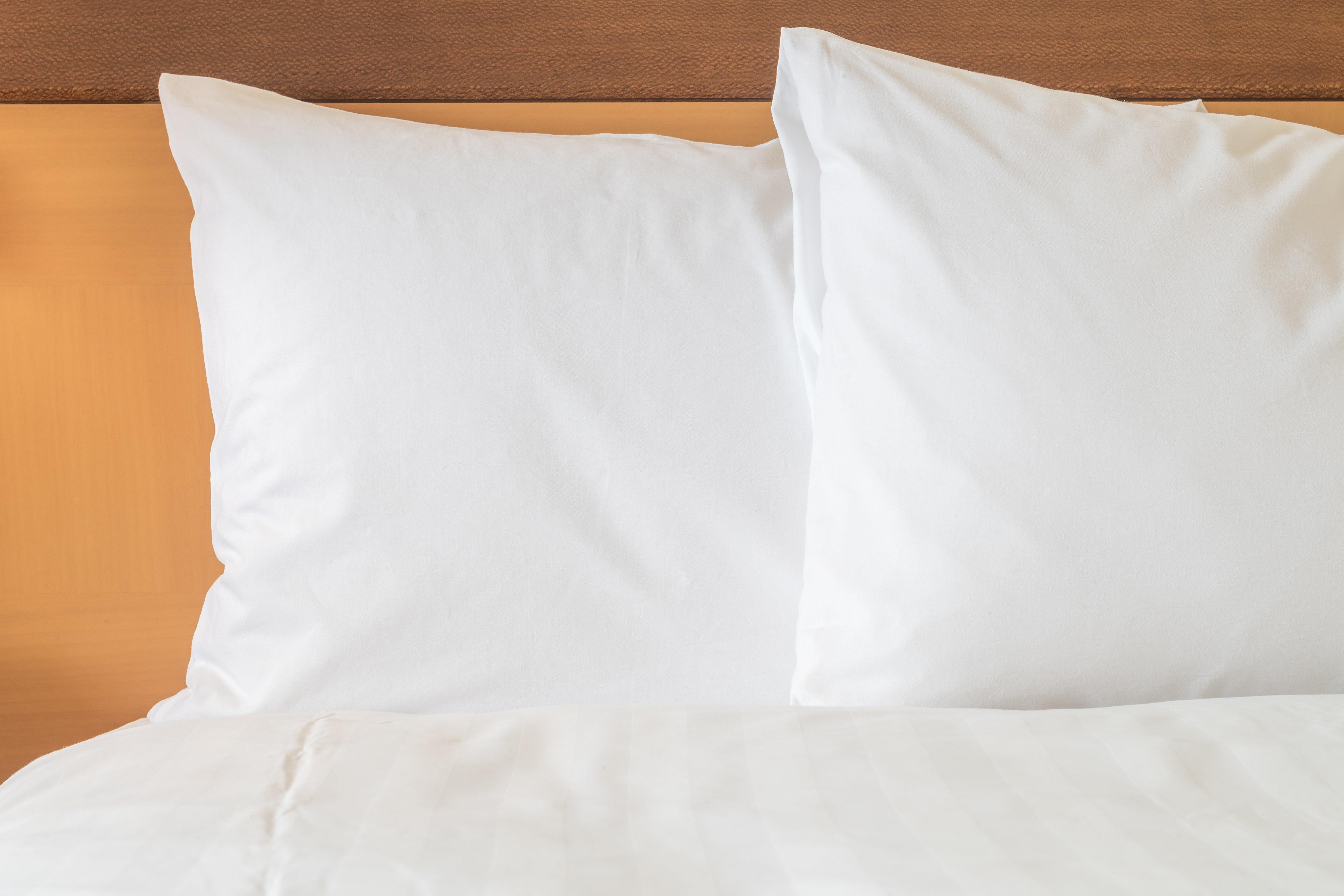Holiday Inn Express Hotel & Suites North Bay By Ihg Extérieur photo